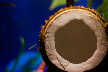 half coconut with leaves background