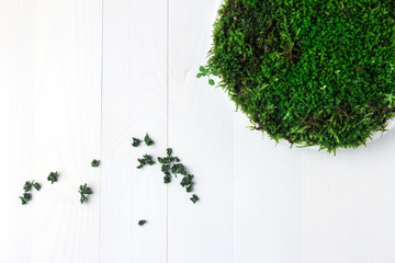 A round plastic plate with green moss stands on a white wooden table and next to it is dried parsley.