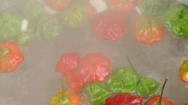 blanching hot chili peppers at preparation of pique sauce, a Puerto Rican hot sauce 4k