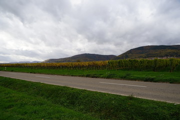 Fototapeta na wymiar Blick über eine Landstrasse der Südlichen Weinstrasse 