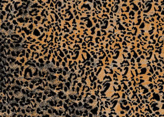leopard skin pattern