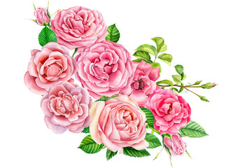Pink spring flowers, watercolor roses  isolated on white background. Set of elements, greeting card. Holiday bouquet, wedding