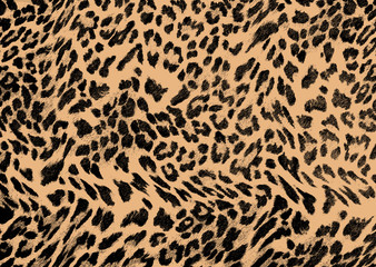 leopard skin pattern