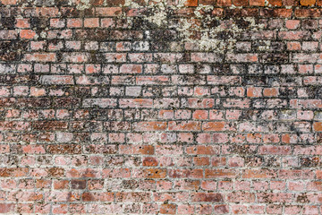 convict bricks close up