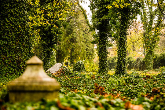 Cmentarz żydowski w Bielsku-Białej