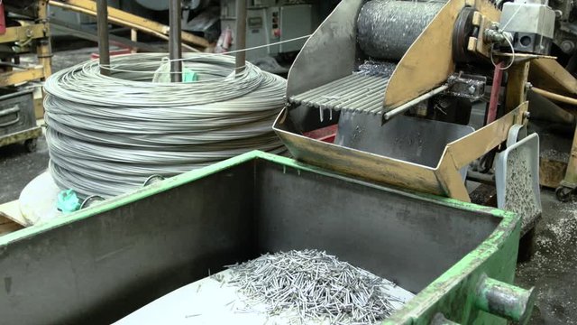 Manufactured nails fall off conveyor-belt with rotating coil of steel wire