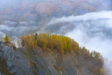 The colors of autumn in the mountains.