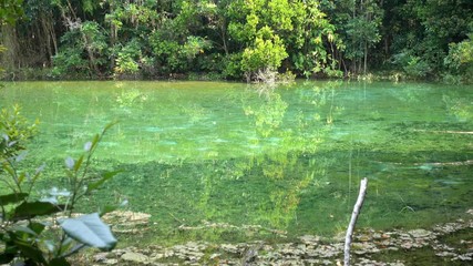 Beautiful crystal clear Glass Pool near Emerald Pool in National Park, Krabi, Thailand