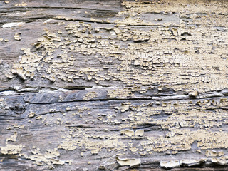 abstract picture with an old peeling color of wood
