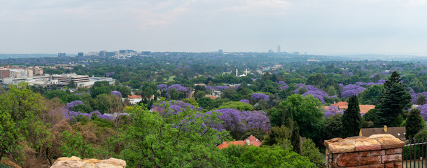 Naklejka premium Widok z lotu ptaka na Johannesburg z zielonymi parkami i drzewami Jacaranda, RPA.