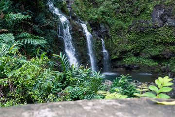 waterfall in forest