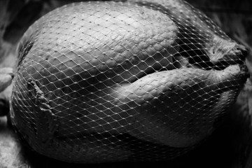 Close up of raw turkey in plastic netting