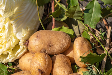 View into a bio container  with various organic wastes such as potatos and salad for recycling.