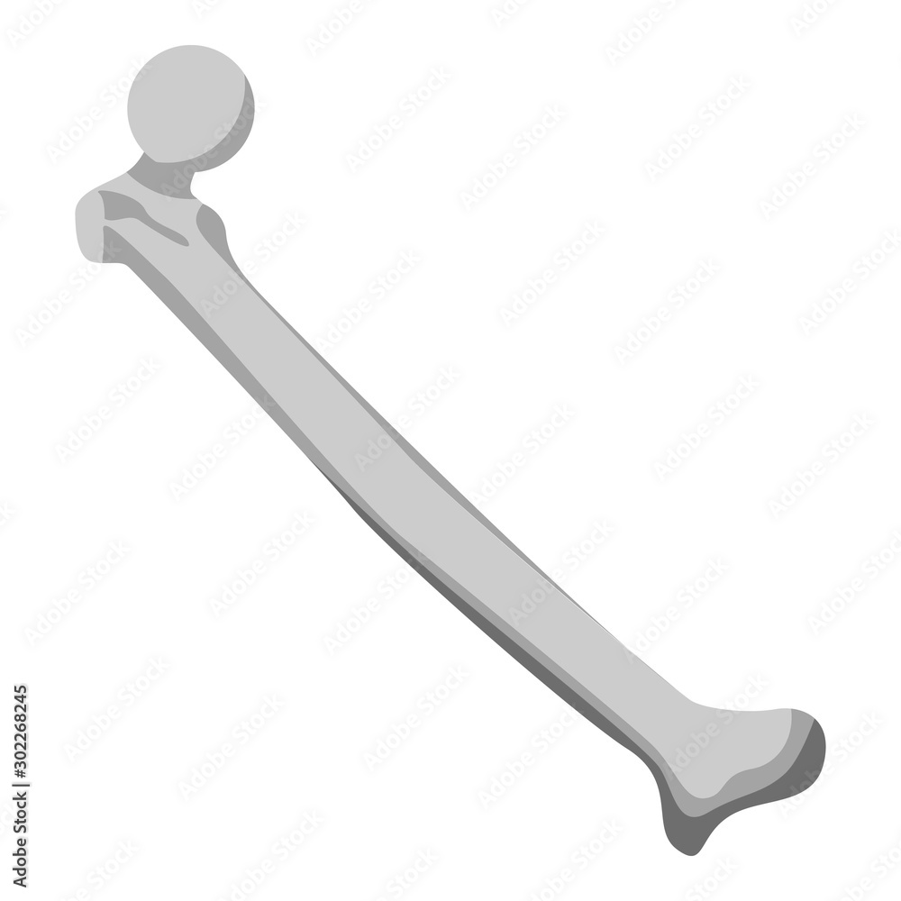 Poster femur bone icon. isometric of femur bone vector icon for web design isolated on white background