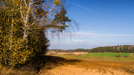 Wzgórza Sokólskie, Piękno ziemi sokólskiej, Jesień na Podlasiu,  © podlaski49
