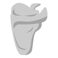 Scapula icon. Isometric of scapula vector icon for web design isolated on white background