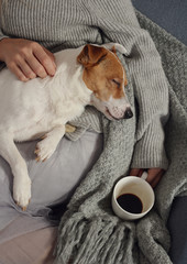 Woman in cozy home clothes relaxing at home with sleeping dog Jack Russel Terrier, drinking coffee, Comfy lifestyle.