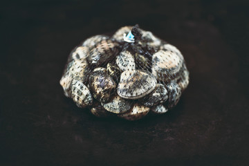 Fresh clams in the grid on the dark background. Fresh seafood