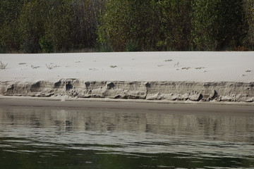 Autumn on the Danube Islands 1