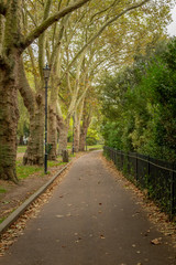Fototapeta premium A Path Through an English Park in Autumn