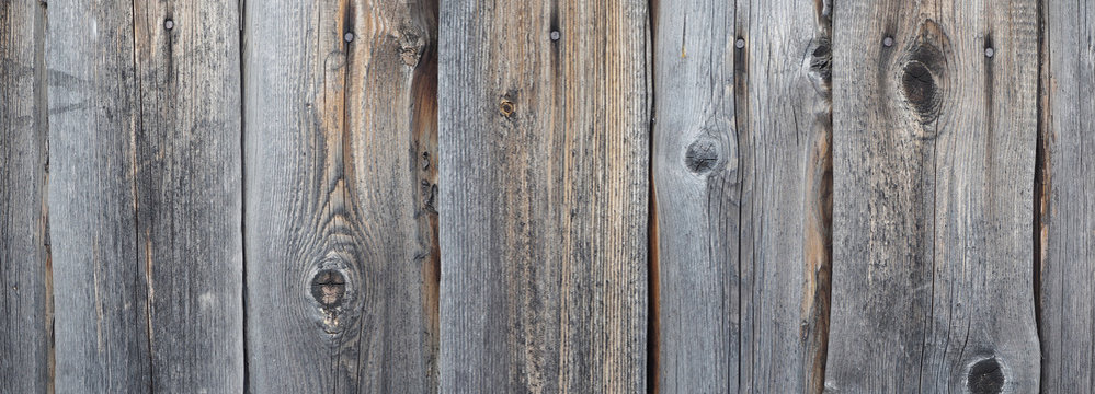 Panoramic picture of a natural grey wooden texture with knots and nail heads. Uncolored rustic background