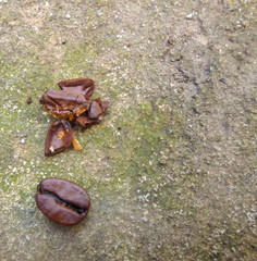large grains of coffee on a concrete surface. broken and whole coffee beans