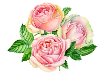 Pink spring flowers, vintage watercolor roses  isolated on white background. Set of elements, greeting card. Holiday bouquet, wedding