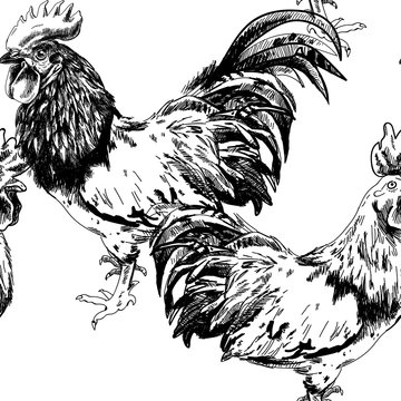 Seamless pattern with chickens. Roosters. Drawing by hand in vintage style