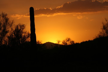 Arizona Sunset