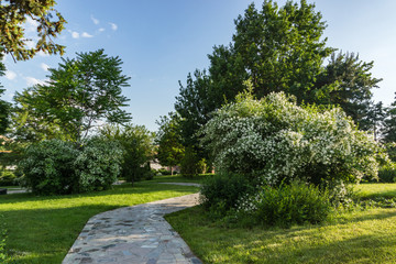 Obraz premium Beautiful landscaping. Coniferous and leafy trees, shrubs in the park. Arrangement of the park area.