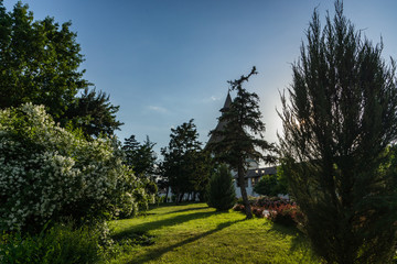 Beautiful landscaping. Coniferous and leafy trees, shrubs in the park. Arrangement of the park area.