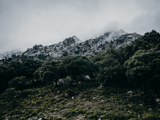 Fototapeta na wymiar Montañas nubosas