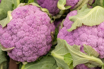 Two heads of purple cauliflower with green leaves