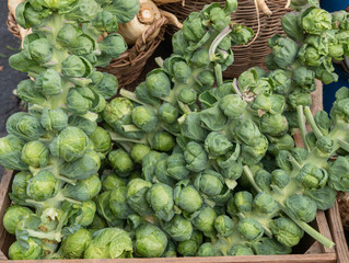 Brussel sprouts on stalks at the farmers market