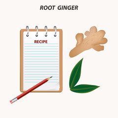 Ginger - root, leaves, notebook for writing a recipe - isolated on a light background - vector. Dietary nutrition.