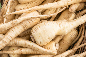 Piles of fresh parsnips at the market