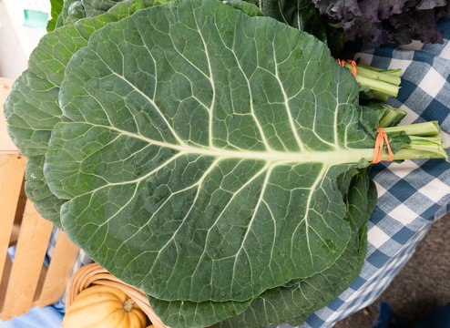 Bundles of bright green fresh collards at the market