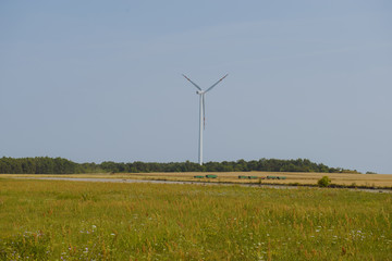 Windturbine at sunny day