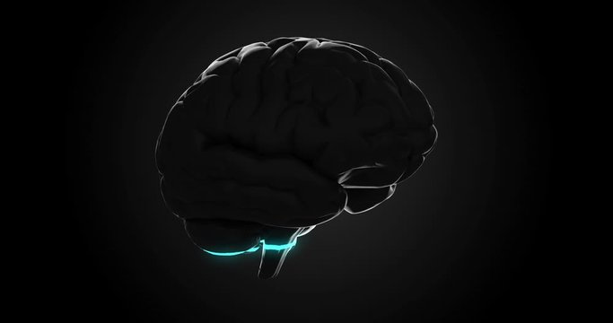 Scaning brain in the future Artificial intelligence AI medical xray technology loop