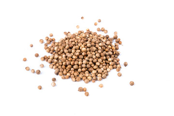 Whole cilantro coriander seed spice herb for cooking