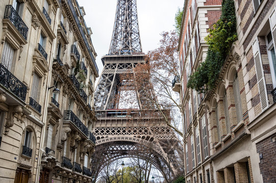 Fototapeta A view towards Eiffel Tower, Paris, France