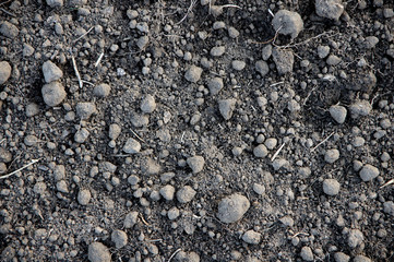 Natural soil texture