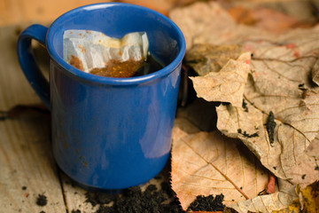  Fresh pot of tea drink in blue mug on Autumn leaves background