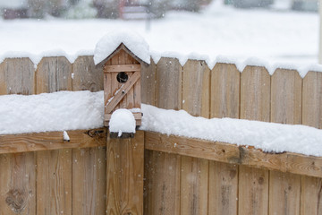 bird house is empty in the winter