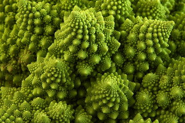 Romanesco broccoli or Roman cauliflower, close up shot from above, texture detail of the healthy vegetable Brassica oleracea, a variation of cauliflower. macro photo © Savory