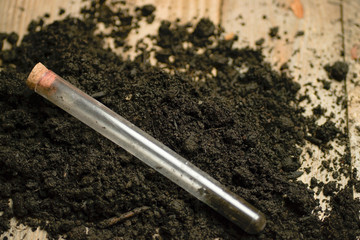 Test tube with soil sample isolated