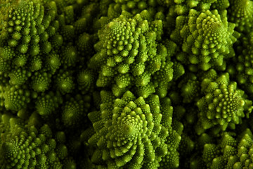 Romanesco broccoli or Roman cauliflower, close up shot from above, texture detail of the healthy vegetable Brassica oleracea, a variation of cauliflower. macro photo