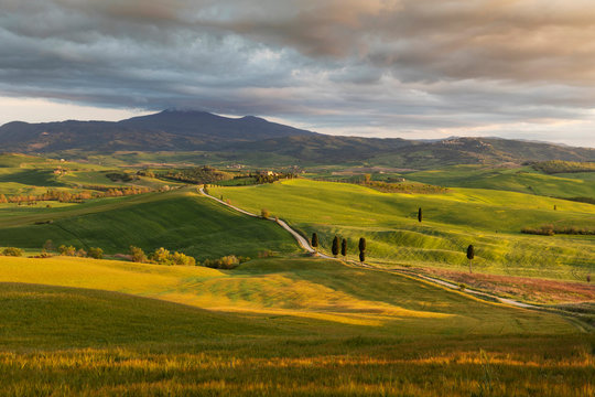 Winding road and cypress trees in the Val d'Orcia, Tuscany, Italy