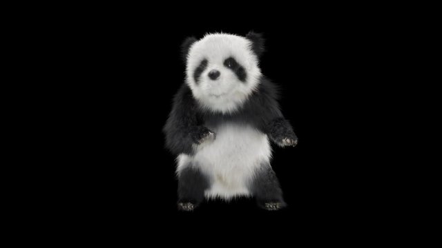 panda Zoo CG fur 3d rendering animal realistic CGI VFX Animation  Loop Crowd dance composition 3d mapping cartoon, (with Alpha Channel)