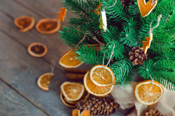 Fototapeta na wymiar Dried citrus slices on the Christmas tree